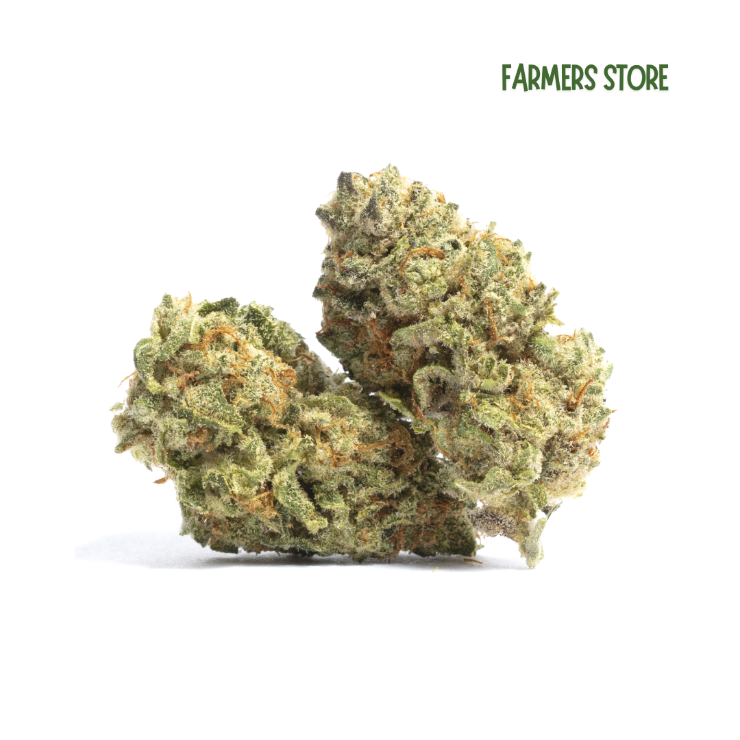 Candy Mixte - Hydro sucrée 24% HDH