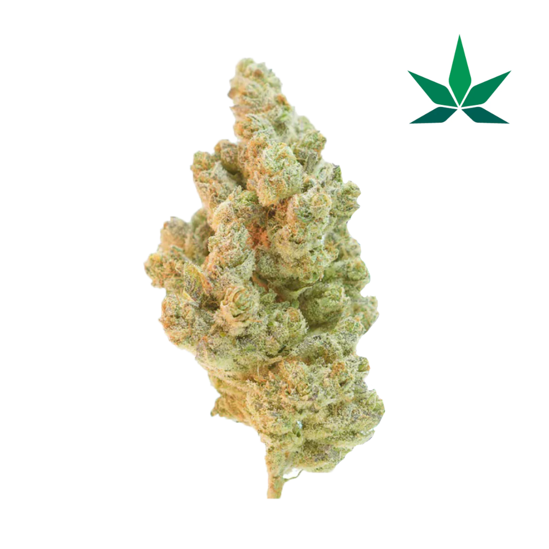 Super Lemon Haze – Hydro Medium Citronnée 24% CBD HYBRIDE