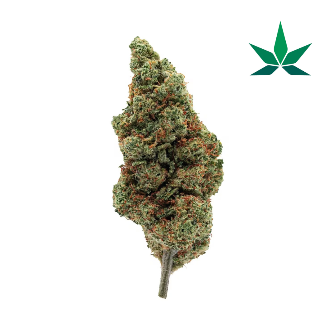 Night Purple – Hydro Big Boisée & Épicée – 21% CBD + CBN INDICA