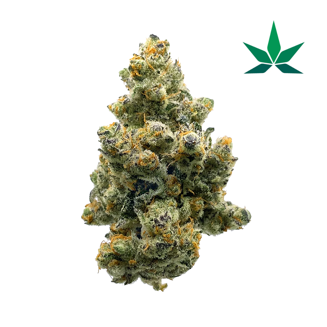 Runtz X Layer Cake – Hydro Big Ultra Sucrée 19% CBD SATIVA