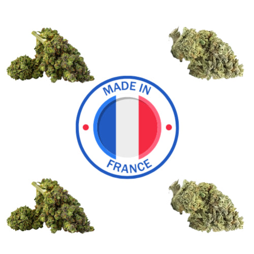 Packs Fleurs CBD