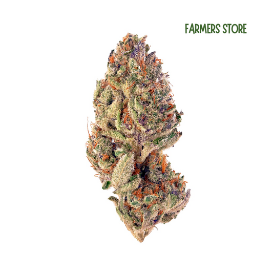 Blueberry White - Hydro Boisée 14% CBD