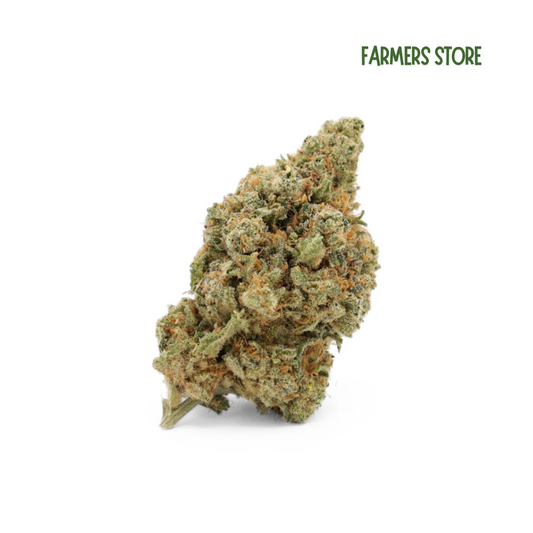 Golden Peach - Hydro Fruitée 14% CBD