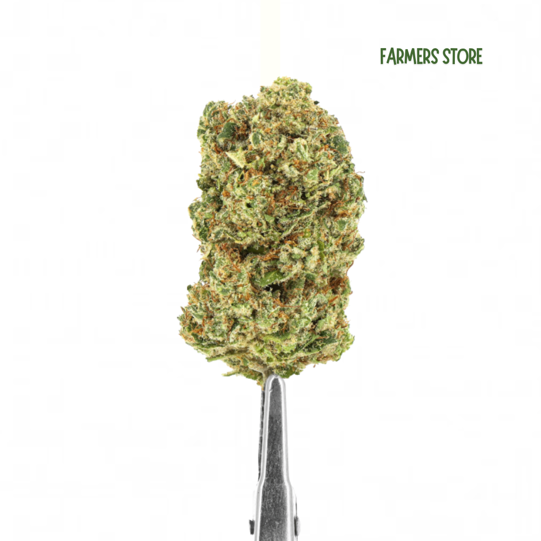 FLEURS CBD - NORTHERN LIGHTS HYDRO