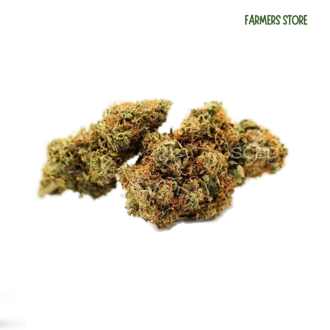 FLEURS CBD EXCLU - PLUTONIUM