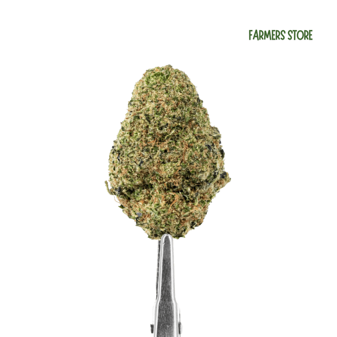 FLEURS CBD - MAC 11 USA HYDRO
