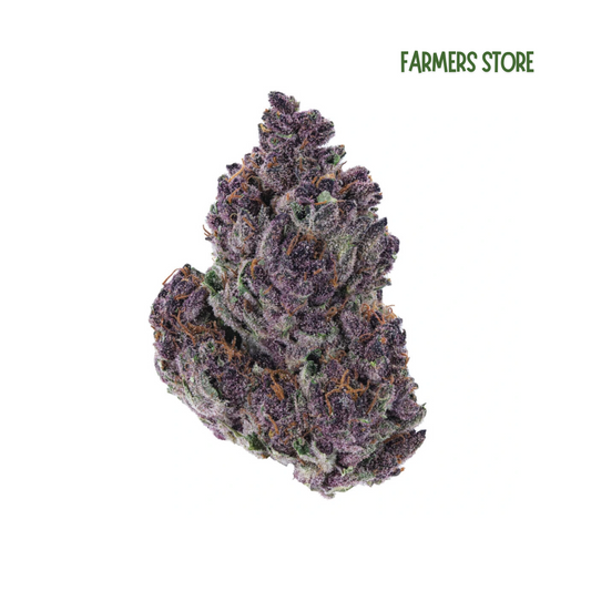 Night Purple - Hydro Boisée 16% CBD