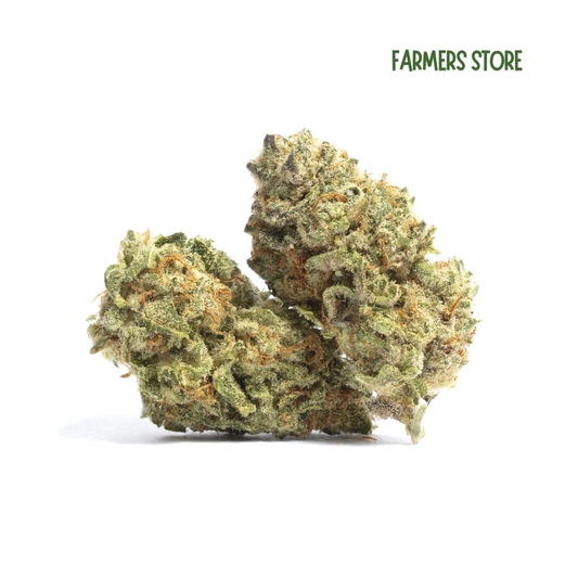 Candy Mixte - Hydro sucrée 24% HDH
