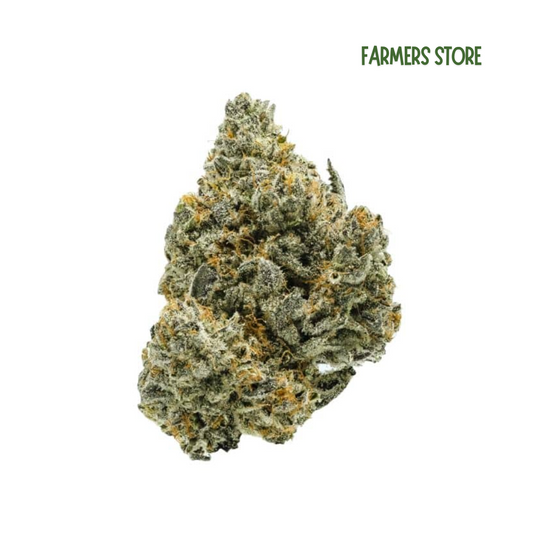 Runtz X Layer Cake – Hydro Sucrée 15% CBD