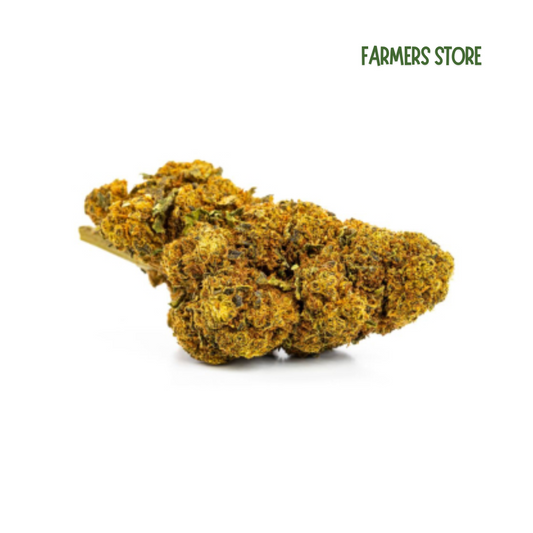 Fleurs CBD Outdoor - Jack Herrer
