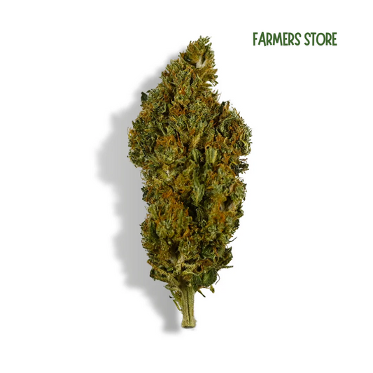 Fleurs CBD Outdoor - Banana Kush