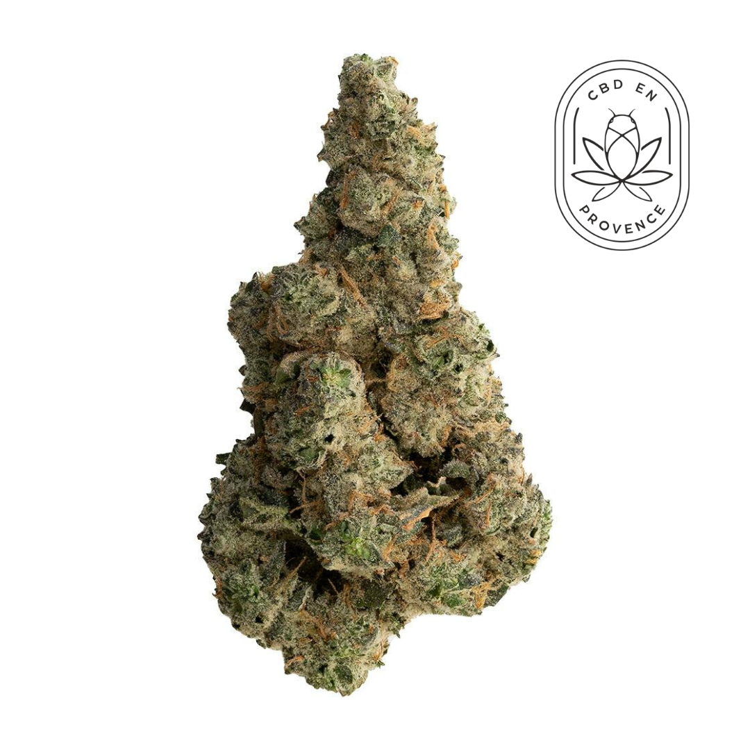 Wasabi - GlassHouse Big Ultra Epicée & Légèrement Moutardée 16.2% CBD HYBRIDE