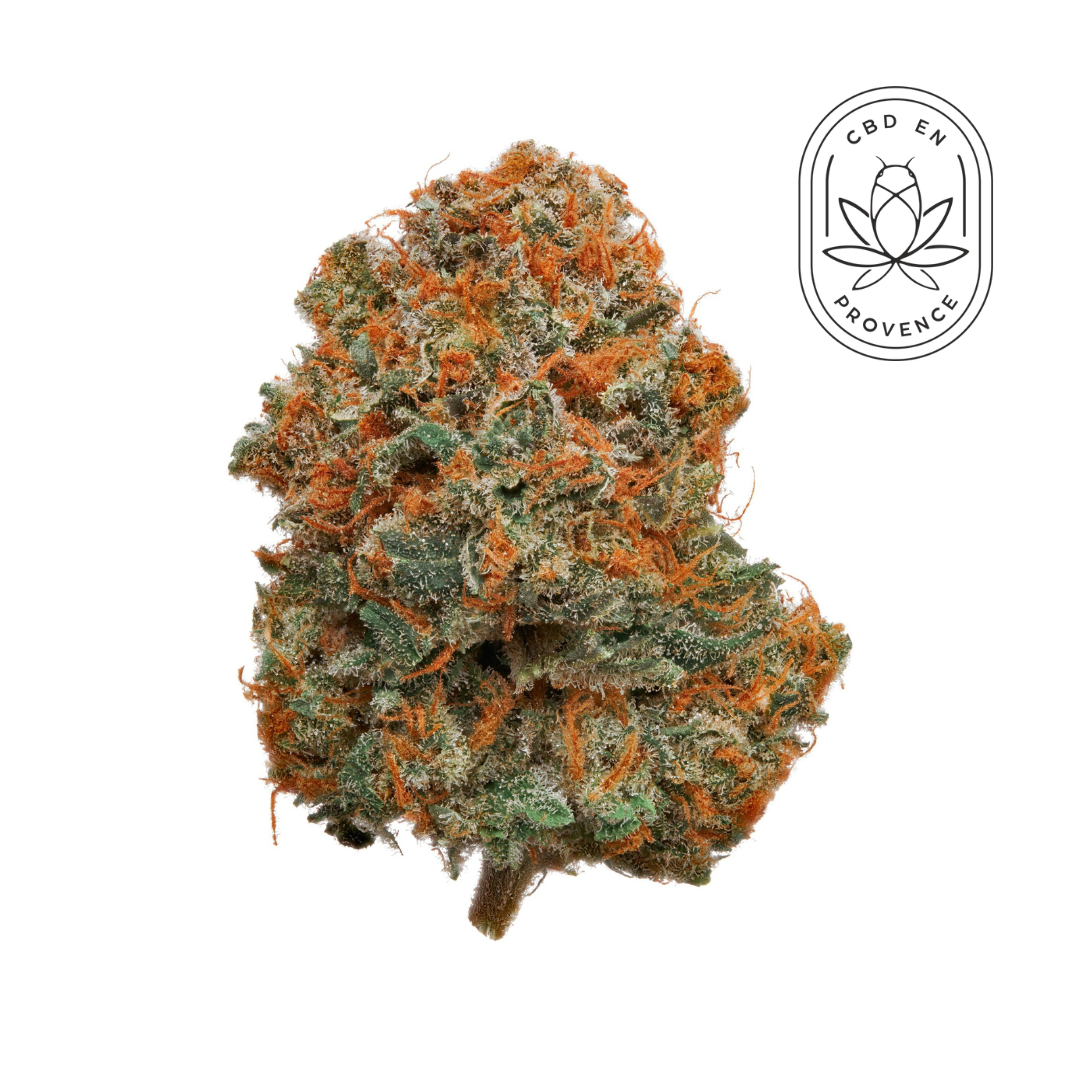 Mimosa - GlassHouse Medium Cheesy & Boissée 16% CBD HYBRIDE