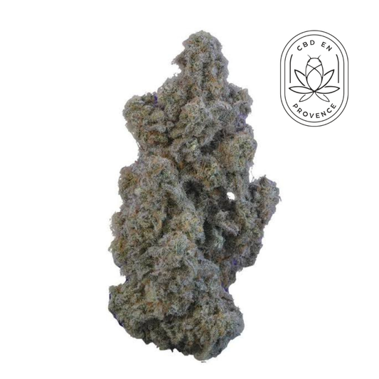 Golden Gaz - GlassHouse Big Mentholée & Sucrée 15% CBD SATIVA
