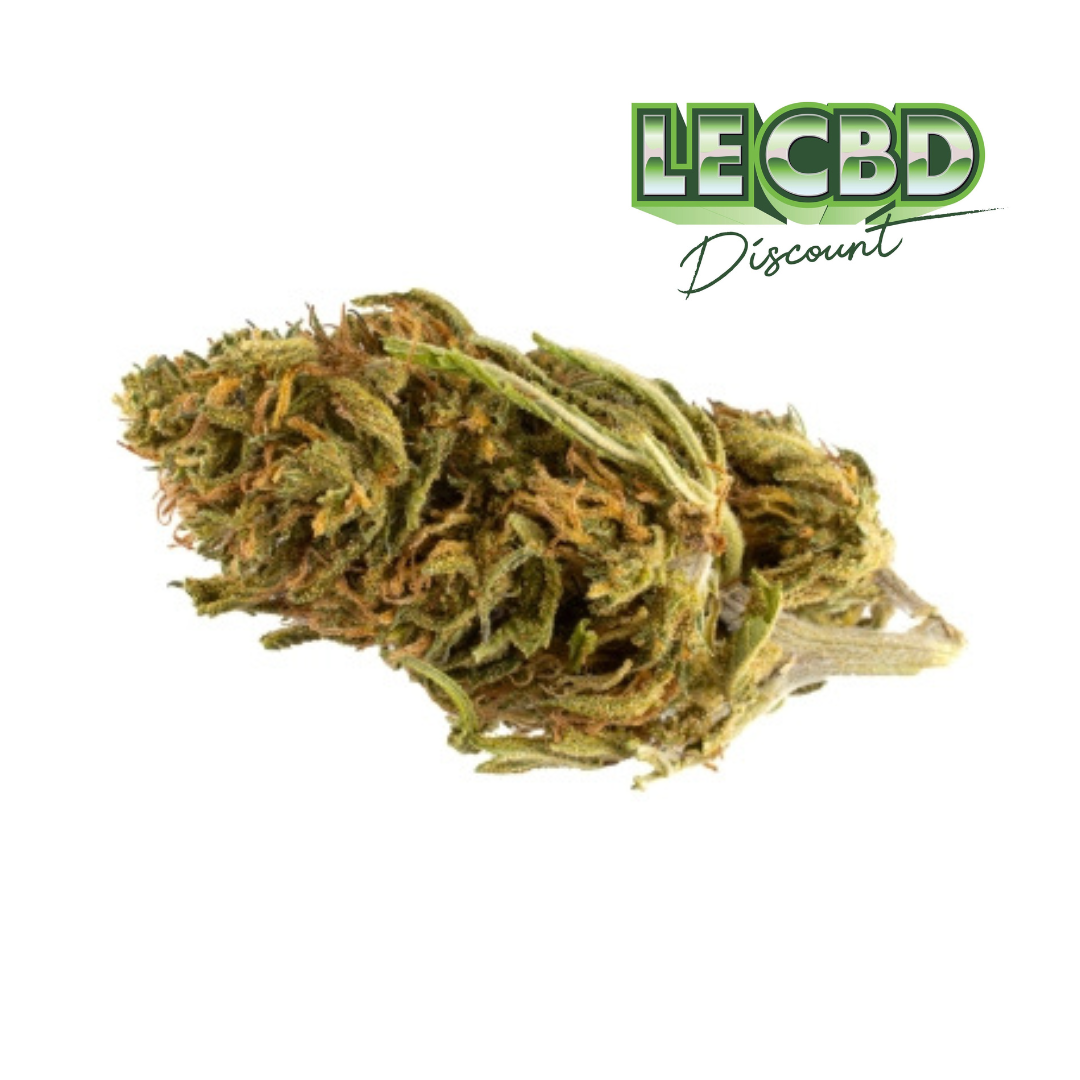 Limoncello - Outdoor Premium Small / Medium Ultra citronnée 12.7% CBD SATIVA