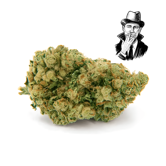 Northern Lights – Hydro Big Mentholée Légèrement Sucrée 18% CBD + CBN INDICA