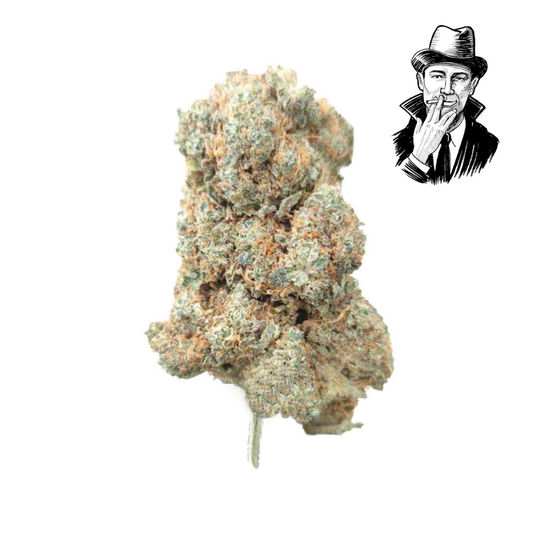 Blueberry White - Hydro Big Boisée & Fruitée 17% CBD HYBRIDE